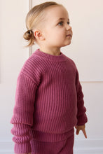 Load image into Gallery viewer, Rose Petal Morgan Jumper

