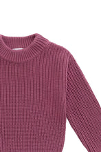 Load image into Gallery viewer, Rose Petal Morgan Jumper
