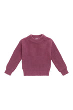 Load image into Gallery viewer, Rose Petal Morgan Jumper
