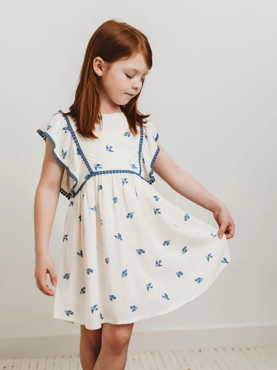 Bluebirds Dress